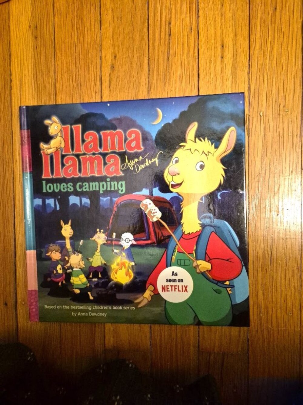 Llama llama Loves Camping